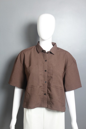 [DA-08-25-090-BROWN] DA-08-25-090-BROWN